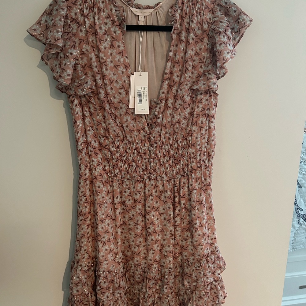 NWT rebecca Taylor mini dress